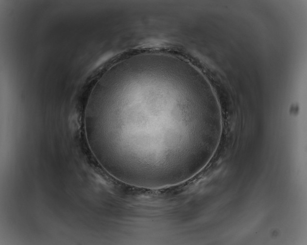 X0000101451206200807071357