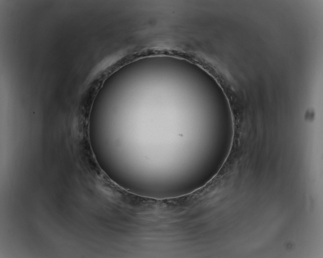 X0000101451207200807071357