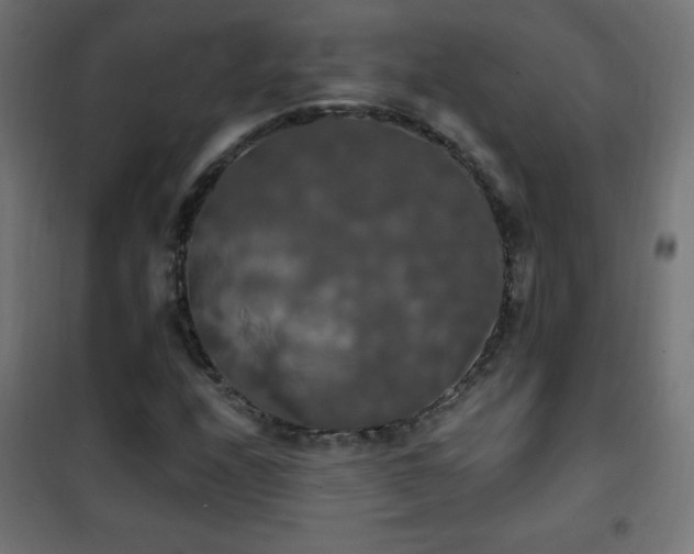 X0000101451208200807071357