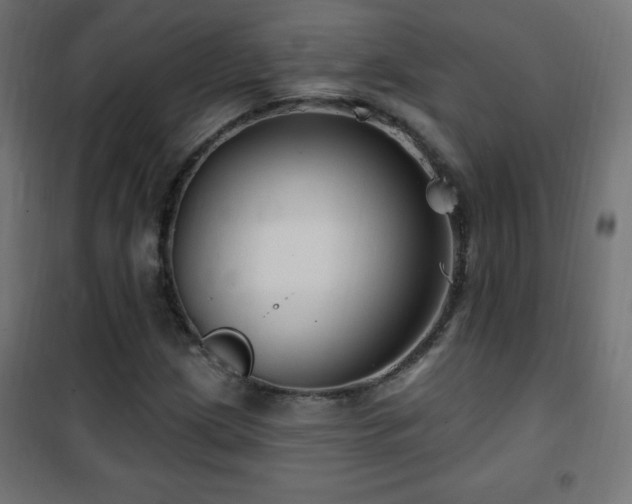 X0000101451209200807071357