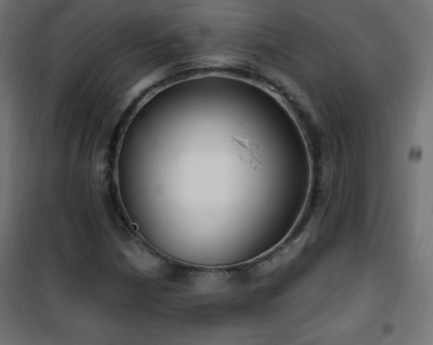 X0000101451210200807071357
