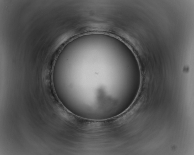 X0000101451211200807071357