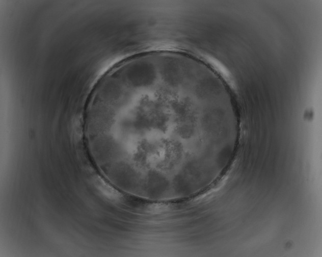 X0000101451212200807071357
