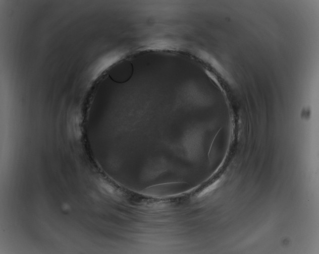 X0000101451213200807071357