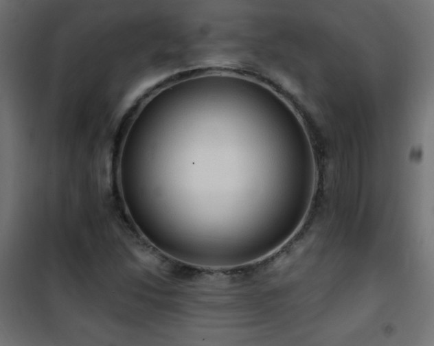 X0000101451214200807071357