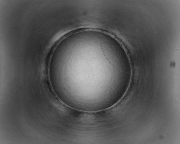 X0000101451215200807071357