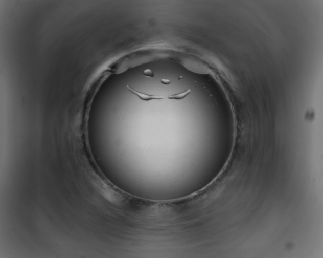 X0000101451216200807071357