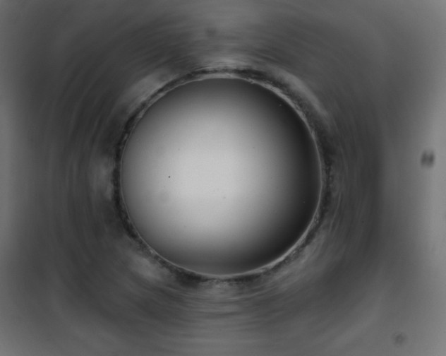 X0000101451217200807071357