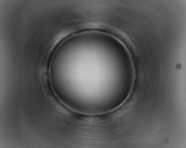X0000101451218200807071357