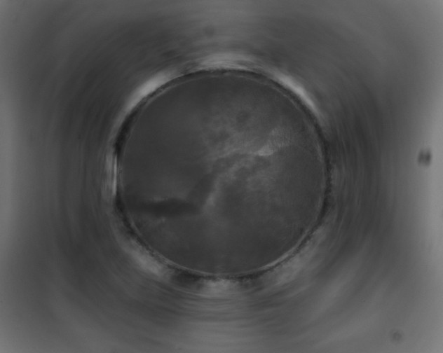 X0000101451219200807071357