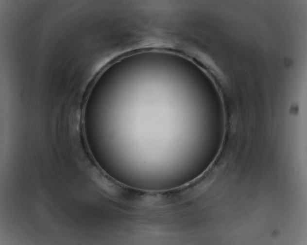 X0000101451220200807071357