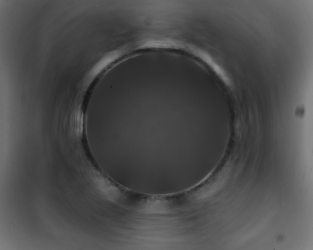 X0000101451221200807071357