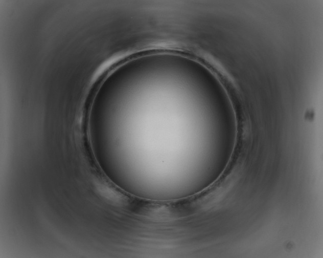 X0000101451222200807071357
