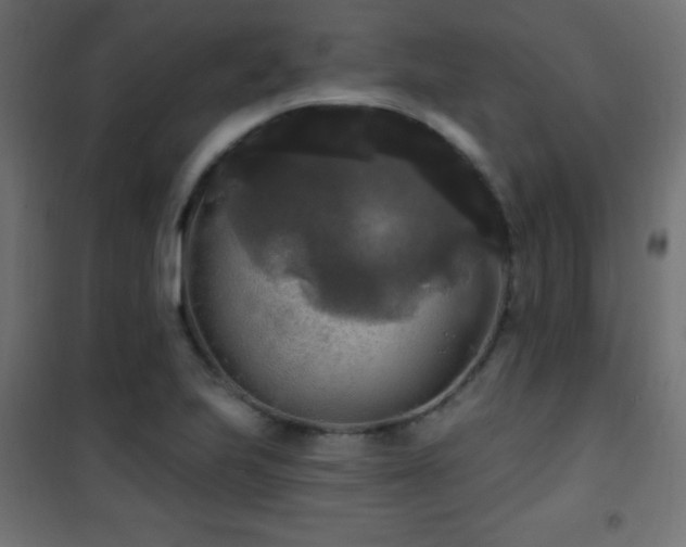 X0000101451223200807071357