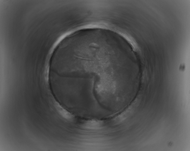 X0000101451224200807071357