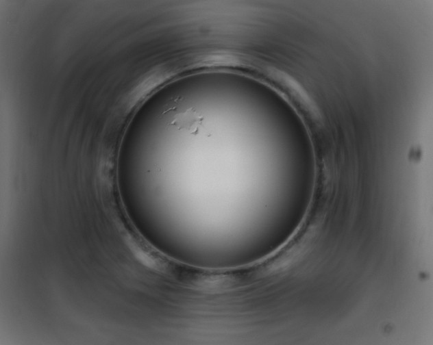 X0000101451225200807071357