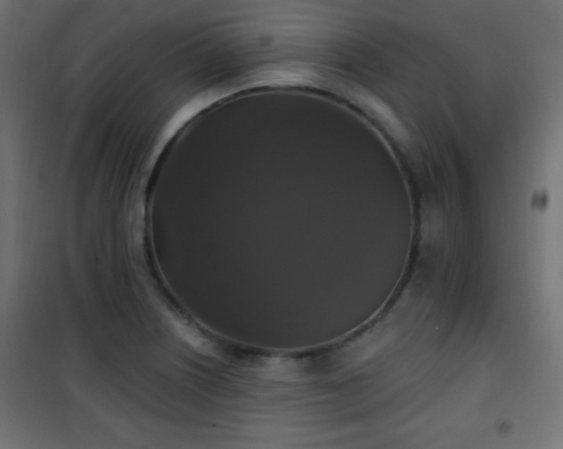 X0000101451226200807071357