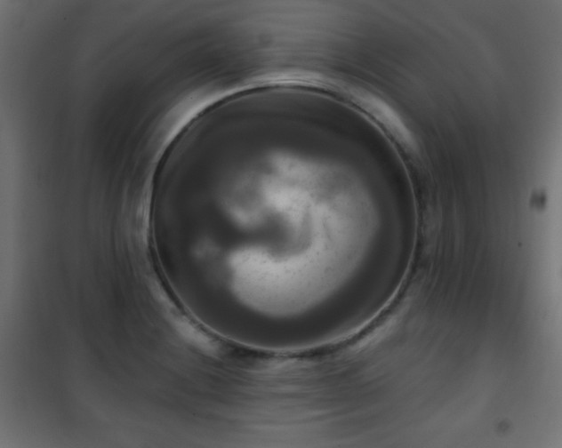 X0000101451228200807071357