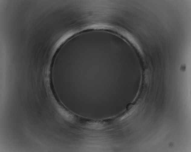 X0000101451229200807071357