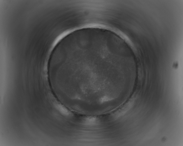 X0000101451230200807071357