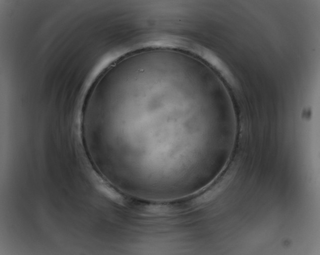 X0000101451232200807071357
