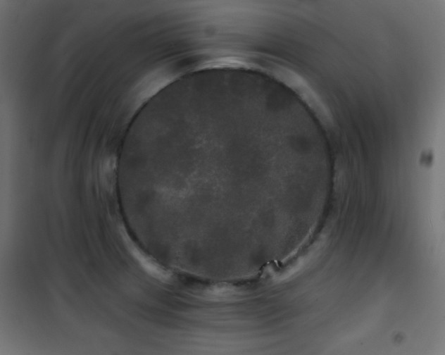 X0000101451233200807071357