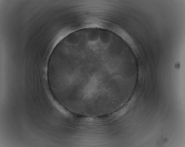 X0000101451234200807071357