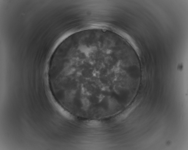 X0000101451235200807071357