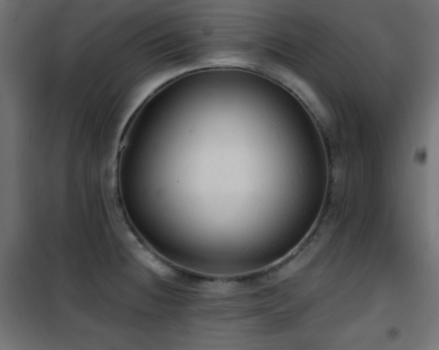 X0000101451236200807071357