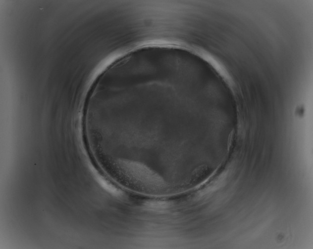 X0000101451237200807071357