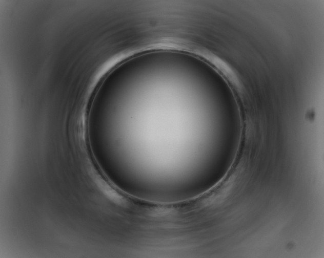 X0000101451238200807071357