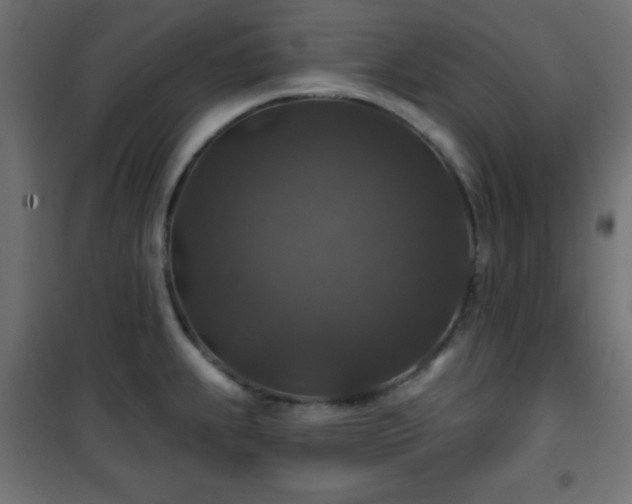 X0000101451239200807071357