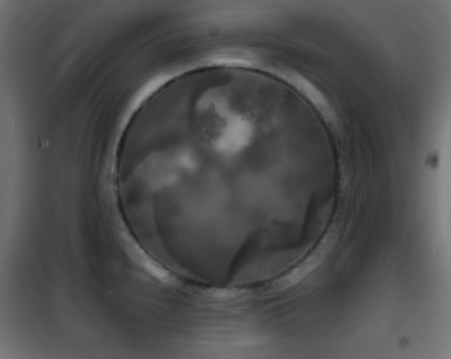 X0000101451240200807071357