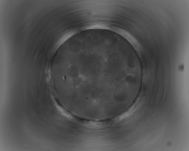 X0000101451241200807071357