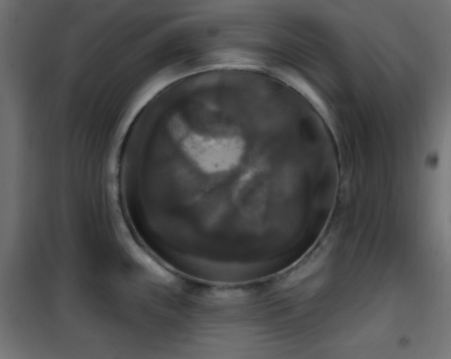 X0000101451243200807071357