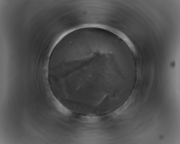 X0000101451244200807071357