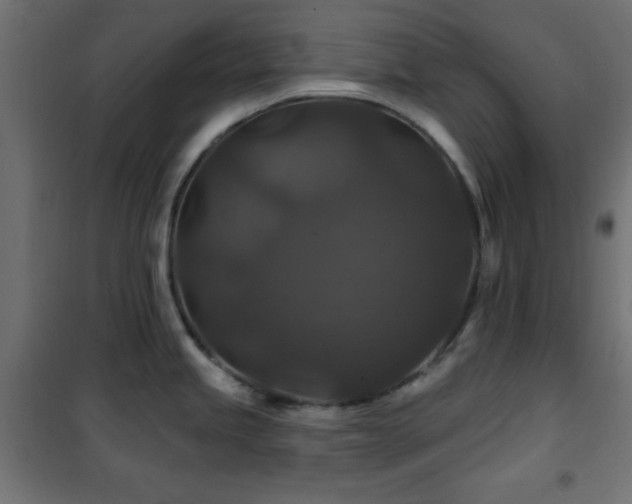 X0000101451245200807071358
