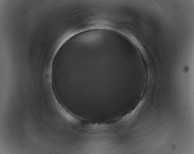 X0000101451246200807071358