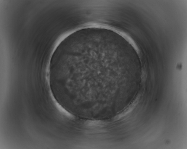 X0000101451247200807071358