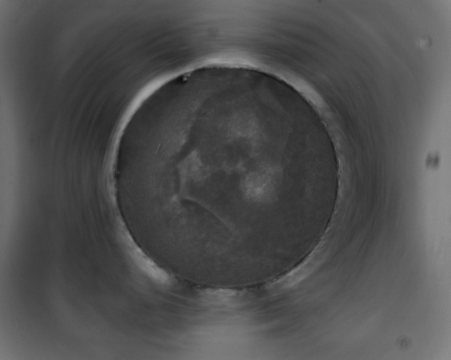 X0000101451248200807071358