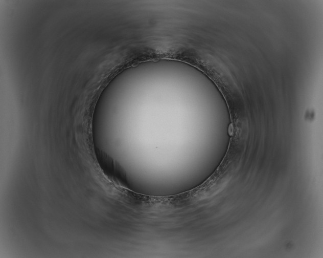 X0000101451249200807071357
