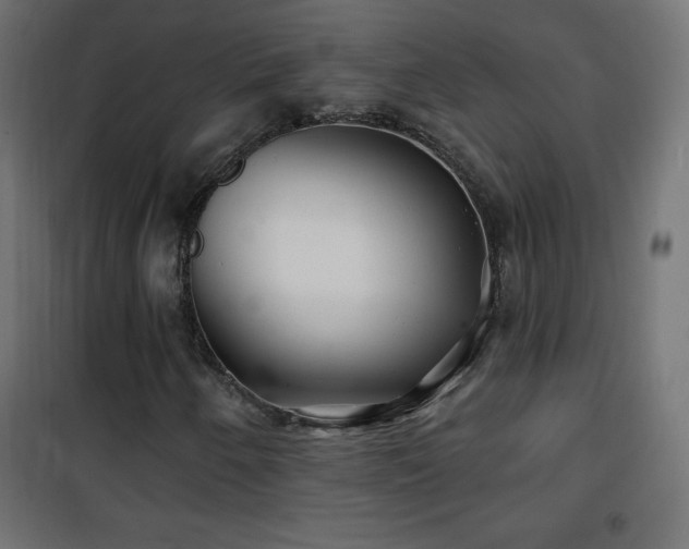 X0000101451250200807071357