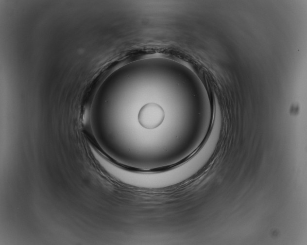 X0000101451252200807071357