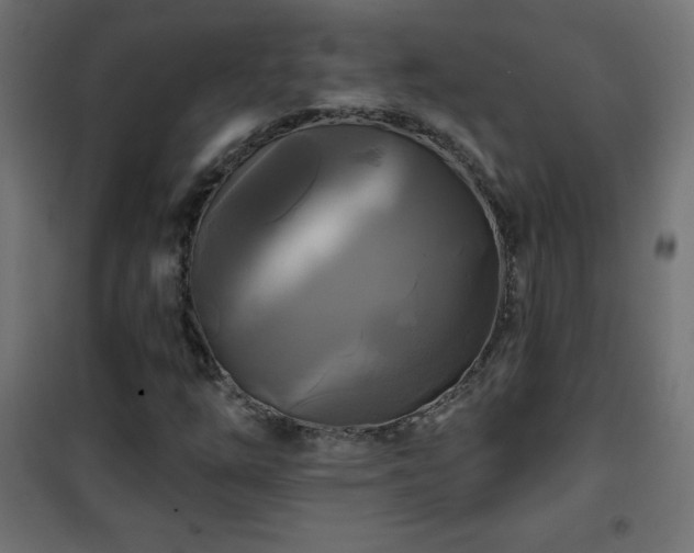 X0000101451254200807071357