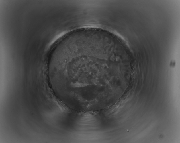 X0000101451255200807071357