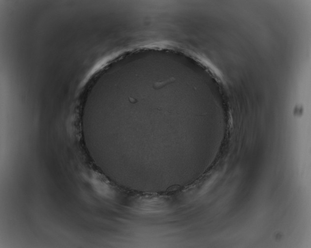 X0000101451256200807071357