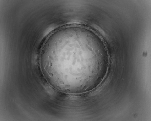 X0000101451258200807071357