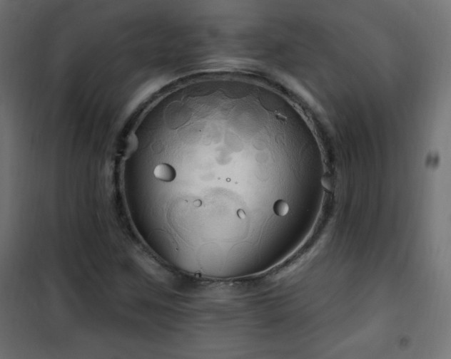 X0000101451259200807071357