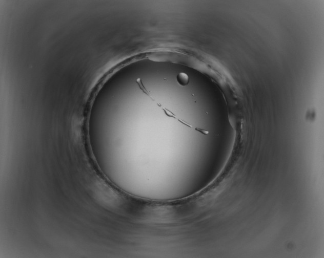 X0000101451260200807071357