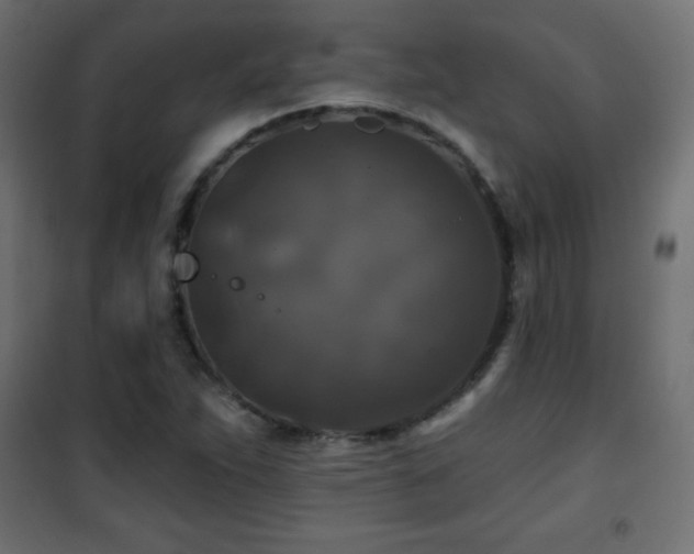 X0000101451263200807071357